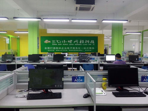 桂林三只小豬網絡科技 打造創新網絡技術開發解決方案